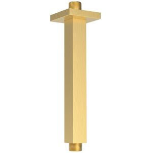 SAPHO Sprchové stropní ramínko, hranaté, 200, zlato mat 1205-07GB